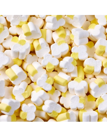 FINI MARSH PIPOCA 80G (12)