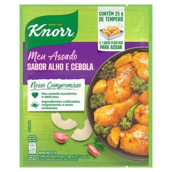TEMPERO PÓ ALHO CEBOLA KNORR MEU ASSADO PACOTE 25G (15)