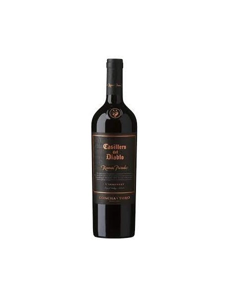 C TORO C. DEL DIABLO 2019 RES PRIV CARMENERE 750ML (12)