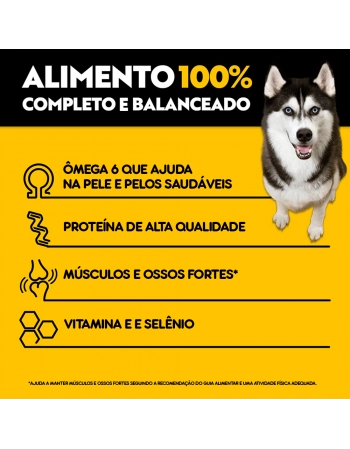 PED. SACHE AD HP CARNE E FRANGO 85G (40)